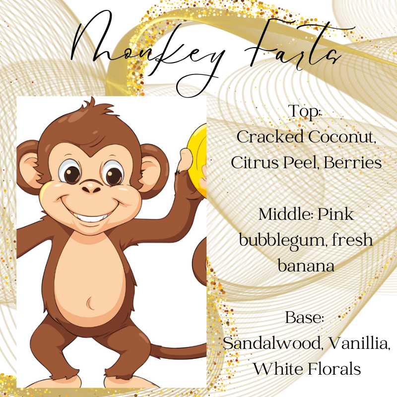 Snap Bar Wax Melts Pick Your Favorite Scents